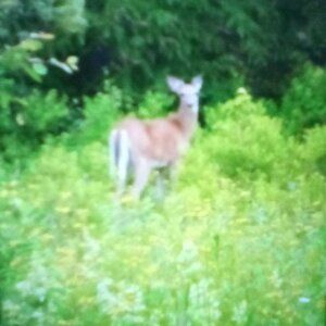 Coldwater Creek Tencel Maxi Skirt Sz M 10-12 Dark Blue